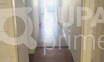 Imagem 3: 3 dormitórios na Rua Padre Leonel Franca