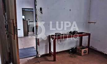 Imagem 6: 3 dormitórios na Rua Paranhos Pederneira