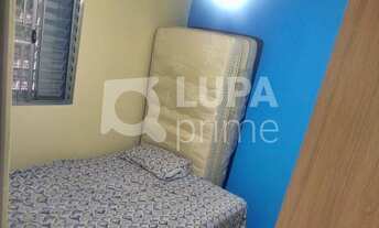 Imagem 4: 5 dormitórios na Rua Pedro Furquim