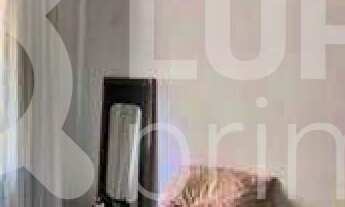 Imagem 4: 7 dormitórios na Rua Mangaiba