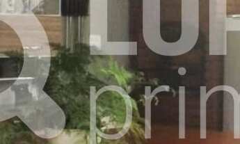 Imagem 4: 3 dormitórios na Rua Aragão