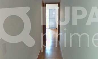 Imagem 6: 3 dormitórios na Rua Coronel Propício Barreto