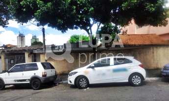 Imagem 4: Na Rua Sargento Agostinho Ferreira