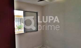 Imagem 3: 3 dormitórios na Rua Elza Guimarães