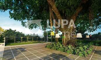 Imagem 2: 4 dormitórios na Rua Itapeti