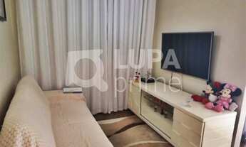 Imagem: 3 dormitórios na Rua Dona Estela Borges