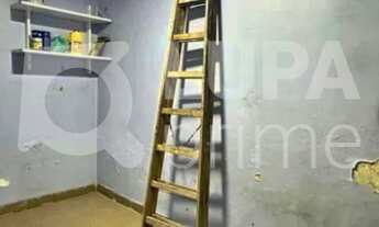 Imagem 7: 4 dormitórios na Rua David Alan