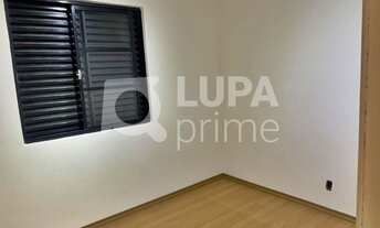 Imagem 6: 2 dormitórios na Rua Carneiro Leão