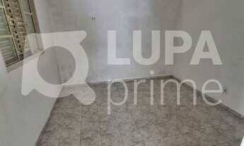 Imagem 3: 3 dormitórios na Rua Barauna