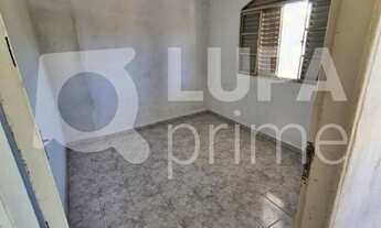 Imagem 2: 3 dormitórios na Rua Barauna