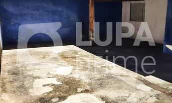 Imagem 7: 3 dormitórios na Rua Barauna