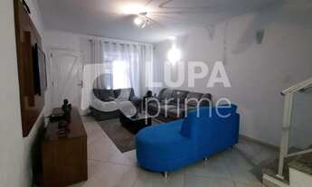 Imagem 4: 3 dormitórios na Rua Newton Braga