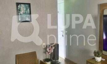 Imagem 3: 3 dormitórios na Rua Eduardo Leopoldo