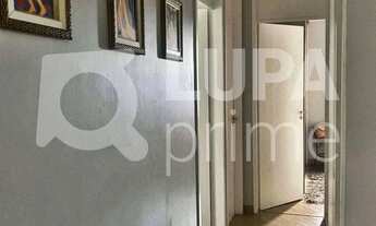 Imagem 4: 3 dormitórios na Rua Eduardo Leopoldo