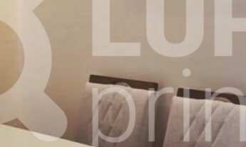 Imagem 2: 3 dormitórios na Rua Alberto Savoy