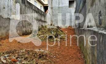 Imagem: Na Rua Itajuibe