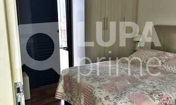 Imagem 5: 3 dormitórios na Rua Togo