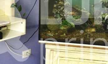 Imagem: 6 dormitórios na Rua Edgar