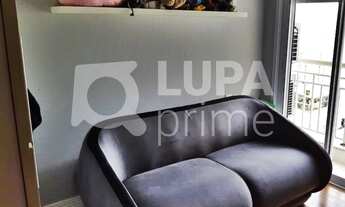 Imagem 4: 4 dormitórios na Rua Professor Rodolfo São Tiago