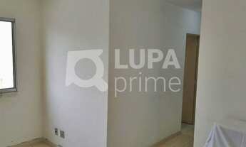 Imagem 2: 2 dormitórios na Rua Doutor Fomm