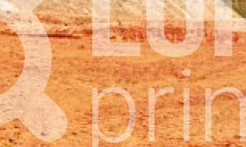 Imagem 2: 4 banheiro na Rua Júlio Prestes De Albuquerque