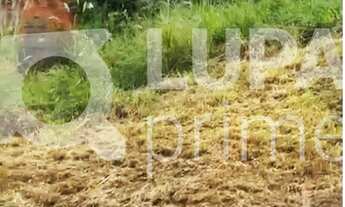 Imagem 3: Na Avenida Belisario Pena