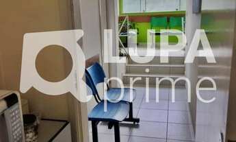 Imagem 7: 4 vagas na garagem na Avenida Das Cerejeiras