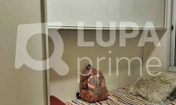 Imagem 6: 3 dormitórios na Rua Guaranésia