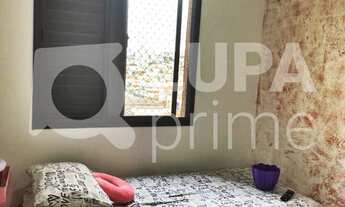 Imagem 5: 3 dormitórios na Rua Guaranésia