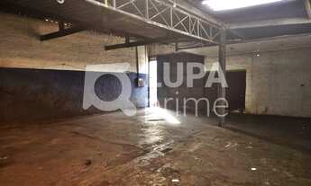 Imagem 3: 1 banheiros na Avenida Professor Castro Júnior