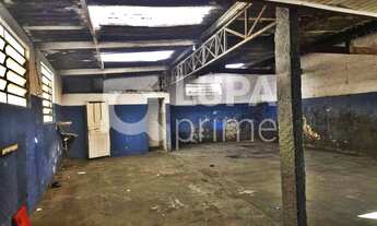 Imagem: 1 banheiros na Avenida Professor Castro