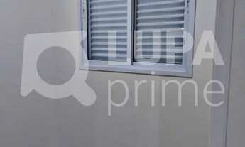 Imagem 6: 2 dormitórios na Rua Alfredo Pujol