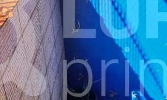 Imagem 7: 3 dormitórios na Rua Ibicarai