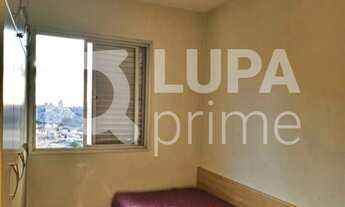 Imagem 4: 3 dormitórios na Avenida Alfredo Zunkeller