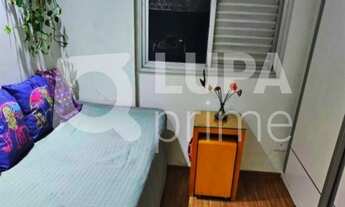 Imagem 3: 3 dormitórios na Avenida Alfredo Zunkeller