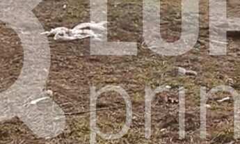 Imagem 4: Na Avenida Júlio Buono