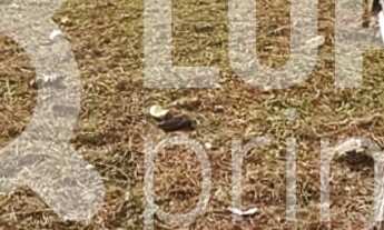 Imagem 5: Na Avenida Júlio Buono