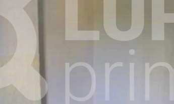 Imagem 3: 2 dormitórios na Avenida Luiz Dumont Villares