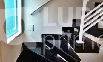 Imagem 3: 2 dormitórios na Rua Judith Zumkeller