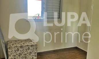 Imagem 6: 2 dormitórios na Rua Luís Pedroso