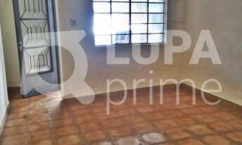 Imagem: 5 dormitórios na Rua Capitão Luis Ramos