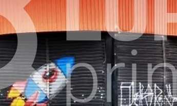 Imagem: Na Avenida Júlio Buono