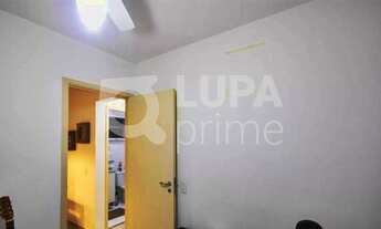 Imagem 4: 3 dormitórios na Rua Imperador