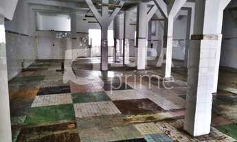 Imagem: 4 banheiro na Avenida José Maria Fernandes