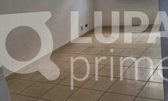 Imagem: 3 dormitórios na Rua Irapuru