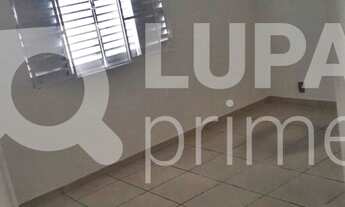 Imagem 4: 3 dormitórios na Rua Irapuru