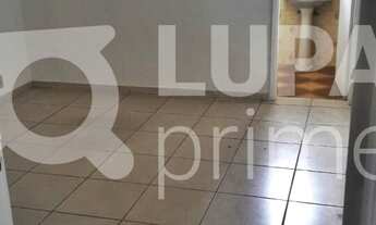 Imagem 5: 3 dormitórios na Rua Irapuru