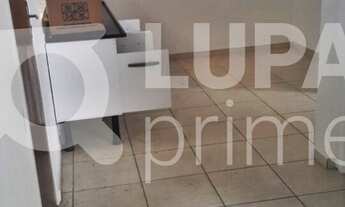 Imagem 6: 3 dormitórios na Rua Irapuru