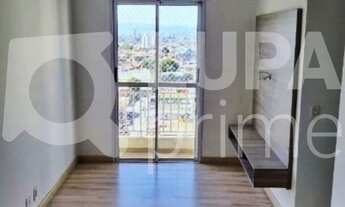 Imagem: 2 dormitórios na Avenida águia De Haia