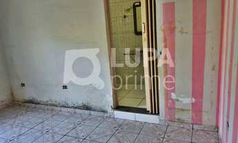 Imagem 7: 12 dormitórios na Avenida Doutor Benedito Estevam Dos Santos